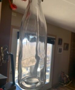 Estilo Swing Top Clear Glass Bottles,16oz Set of 6 Easy Cap Clear Bottles with Stoppers, Flip Top Glass Bottles to Store Home Brews, Oils, Vinaigrettes, Wines, Beer, Teas, Limoncello 16 oz 31 711GJWPPXbL