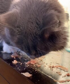 Cat-Man-Doo Extra Large Dried Bonito Flakes Treats for Dogs & Cats - All Natural High Protein Flakes - 4oz. / 112g Bag 4 Ounce (Pack of 1) 34 711Hp4N6YL 1