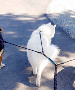 Heavy Duty 3 Dog Leash No Tangle Multiple Dog Leash Triple Dog Leash(30-200 Lbs) Double Dog Leash for 2 Dogs,360°Swivel 3 Way Dog Leash Interchangeable Two Dog Leash with Hand-Protected Handle L / For 20LBs - 150LBs Dogs Black 40 711IZcwrUVL