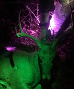 Primos Hunting Bloodhunter HD, Advanced Shadow Free Blood Tracking Light for Night Hunting 25 711JpAx4L