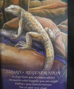 Spirit of the Animals Oracle 58 711K ylNSVL