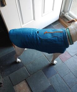 Kurgo Loft Dog Jacket, Reversible Dog Coat, Wear with Harness or Sweater, Water Resistant, Reflective, Winter Coat For Large Dogs (Coastal Blue, XL) Extra Large Coastal Blue/Orange 52 711K8mYYJML