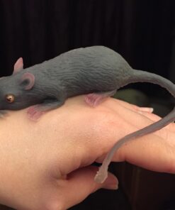 Mouse Lifelike Rubber Gag 18 711K9ozuNCL