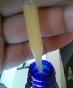 Probonix Kids Probiotic for Toddlers and Children, Organic, Non-GMO Liquid Probiotic Drops, 8 Live Probiotic Strains to Support Gut Health for Toddlers and Children - 1 Month Supply, Grape Children's Grape 24 711N2P6pHWL