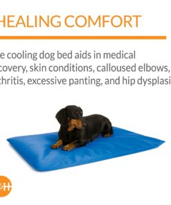K&H Pet Products Cool Bed III Dog Cooling Mat, Cooling Dog Beds for Small Dogs, Dog Cooling Mat for Dog Carrier, Outdoor Dog Bed Cooling Pad for Dog, Pet Cooling Mat - Blue Small 17 X 24 Inches 24.0"L x 17.0"W x 2.0"Th 17 711P1B5IaBS 1
