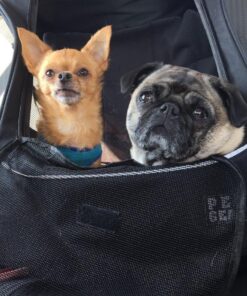 Pet Gear I-GO2 Roller Backpack, Travel Carrier, Car Seat for Cats/Dogs, Mesh Ventilation, Included Tether, Telescoping Handle, Storage Pouch 22.0"L x 13.5"W x 16.0"H 56 711QfLXqqL