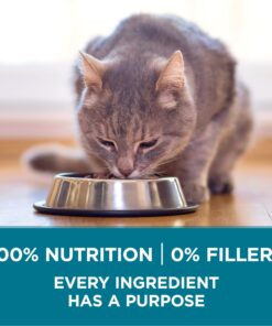 Purina ONE Natural Dry Cat Food, Tender Selects Blend With Real Salmon - 16 lb. Bag 16.00 Pound (Pack of 1) 28 711T0WwGpZL