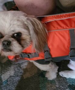 Outward Hound Granby Splash Orange Dog Life Jacket, Small Granby (Flotation) Small (Chest Girth: 16"-20") 51 711TRLAgHKL