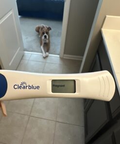 Clearblue Pregnancy Test Combo Pack, 4ct - Digital with Smart Countdown & Rapid Detection - Value Pack Combo 4 38 711TsnHDEaL 1