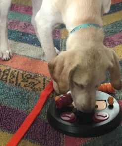TRIXIE Flip Board Strategy Game, Intermediate Dog Puzzle Toy, Level 2 Activity, Treat Puzzle, Interactive Play, Enrichment Level 2 (Intermediate) 24 711VjHDGRiL