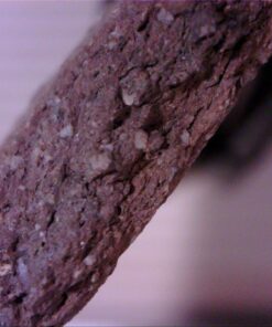 Vividia USB Digital Borescope Microscope with Professional Multi-Functional Metal Stand 12mm Diameter OTG Android and USB PC 28 711Wwf1K0TL