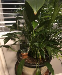 Modern Innovations Ceramic Terracotta Self Watering Spikes (4 Pack) Vacation Automatic Plant Waterer Devices, Indoor/Outdoor Planter Insert, Terra-Cotta Stakes for Potted Plants, Auto-Water System 4 Pack 52 711X ZBW42L