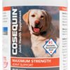 Nutramax Laboratories Cosequin Maximum Strength Joint Health Supplement for Dogs - With Glucosamine, Chondroitin, and MSM, 250 Chewable Tablets 250 Count (Pack of 1)