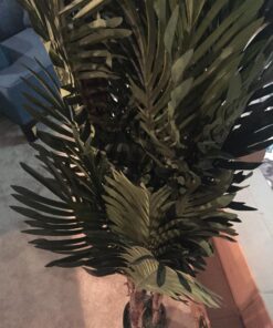 Nearly Natural 5283 Robellini Palm Silk Tree, 5-Feet, Green 60in. 16 711Y3gKEb7L