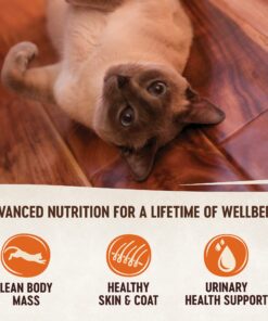 Wellness CORE Grain-Free Wet Cat Food, Natural Canned Food for Cats, Made with Real Meat (Indoor, Chicken, 5.5 oz Cans, Pack of 24) 5.5 Ounce (Pack of 24) Chicken & Chicken Liver Indoor Recipe 10 711YONXgcpL