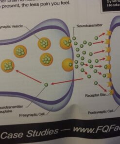 HCF Happy, Calm & Focused - Natural Nootropic Focus Supplement - Boost Concentration, Enhance Focus, Natural Calm Aid & Stress Relief - 90 Capsules for Men & Women - Caffeine-Free Brain Supplement 90 Count (Pack of 1) 42 711YUozCsbL 1