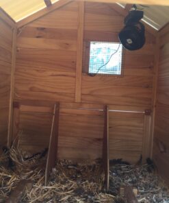 Ryno Tuff 21W Lightweight Portable Solar Charger for Camping - Foldable Solar Powered Cells with 2 USB Ports To Fast Charge Smartphones, Tablets & Battery Packs -Charge While Hiking, Camping & Fishing Black 29 711bDbJKmEL 2