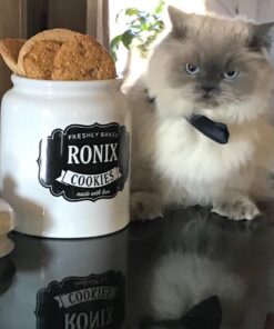 GiftsForYouNow Farmhouse Made with Love Personalized Cookie Jar, 10" Tall & 8" Diameter - Air Tight Ceramic Lid for Freshness, Customize Name on Jar, Hand Washable White Ceramic 15 711bGNRknoL