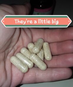 Vitamin Bounty Women's Pro Daily - Vaginal Probiotic & Prebiotic & pH Balance, Probiotics for Women Vaginigal Health, 10 Billion CFUs Per Serving with Cranberry, Gluten-Free - 60 Capsules 60 Count (Pack of 1) 44 711bPh3BhVL 2