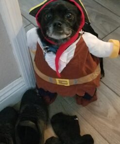 NACOCO Pet Dog Costume Pirates of The Caribbean Style (Large) L Brown 29 711c7MRx2L