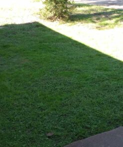 Scotts Turf Builder Grass Seed Quick Fix Mix Fast Growing Turf for a Temporary Lawn, 3 lbs. 3 lb. 50 711dWfbUt5L