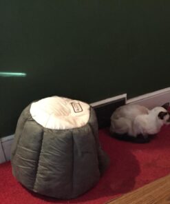 Armarkat Cat Bed, Laurel Green and Beige 54 711ddqiwtcL 1