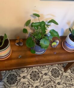 Signature Design by Ashley Berringer 17.5 Inch Rustic Traditional Dining Bench, Brown 51 711e6J28oDL