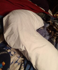 DMI Body Pillow, Side Sleeper Pillow and Pregnancy Pillow with Contoured Support to Eliminate Neck, Back, Hip, Joint Pain and Sciatica Relief with Removable Washable Cover, Firm, U Shape Neck Pillow Half Body Pillow 47 711eFJbvoL