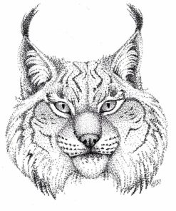 Prismacolor Premier Manga Illustration Markers, Assorted Tips, Black & Sepia, 8 Pack 38 711fwy2STL 2