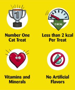 TEMPTATIONS Classic Crunchy and Soft Cat Treats Tasty Chicken Flavor, 16 oz. Tub 26 711hBSoyc1L