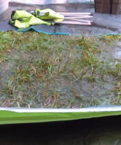 Coleman Sundome Camping Tent, 2/3/4/6 Person Dome Tent with Snag-Free Poles for Easy Setup in Under 10 Mins, Included Rainfly Blocks Wind & Rain, Tent for Camping, Festivals, Backyard, Sleepovers Palm Green 6 Person 41 711ifDGxjKL