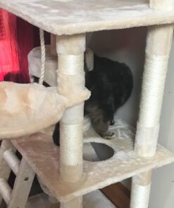 Go Pet Club Classic Cat Tree, Faux Fur Finish, Sisal Rope Scratcher, 62"H, Beige 63 711j6XvCwEL