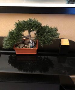 Artificial Japanese Cedar Bonsai Tree 9 inch Tall 27 711j8zlxHSL