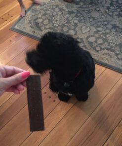 Triumph Dog Turkey, Pea, & Berry Grain Free Jerky, 24-Ounce 1.5 Pound (Pack of 1) 32 711pYWuL iL