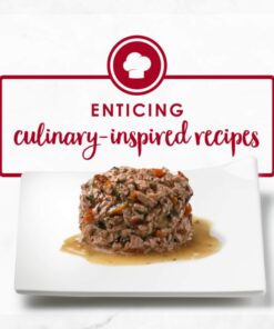 Purina Fancy Feast Wet Cat Food Medleys - (24) 3 oz. Cans Salmon Primavera in Sauce 3.00 Ounce (Pack of 24) 20 711qppIFyL