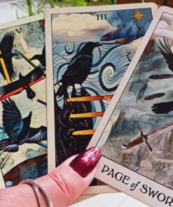 Crow Tarot 38 711xI306LUL