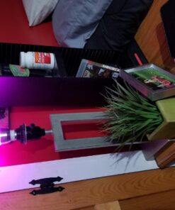 Kobra LED Color Changing Light Bulb with Remote Control - 16 Different Color Choices Smooth, Fade, Flash or Strobe Mode - Smart Remote Lightbulb -RGB & Multi Colored 1 Count (Pack of 1) 37 711y4pLMmYL 2