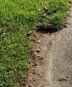 Greenworks 12 Amp Electric Corded Edger 27032 31 711yqbTSSL