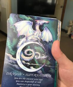 Spirit of the Animals Oracle 80 711z6sVBkSL