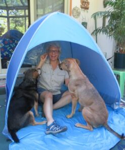 iCorer Automatic Pop Up Instant Portable Outdoors Quick Cabana Beach Tent Sun Shelter Blue 44 711zSgSDBAL