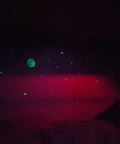 Realistic 3D Domed Glow in The Dark Stars,606 Dots for Starry Sky, Perfect for Kids Bedding Room Gift(606 Stars) (1*Green) 1*Green 61 711zbu48oQL