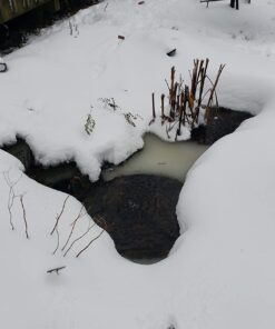 Aquascape 75000 Pond Air 2 (Double Outlet Aeration Kit) 2-Outlet 60 712 eEIyUCL