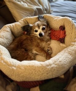 Petmate Aspen Pet Self Warming Round Bed, 19.5 Inches, Barn Red and Cream 19.5"L x 19.5"W x 7.0"Th 26 7120MijLY2L