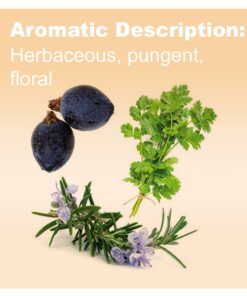 DoTerra Rosemary, Cilantro, and Juniper Berry Essential Oil - 15 mL - Detoxifying 1.69 Fl Oz (Pack of 1) 10 7120vvwVFHL