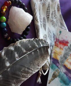 Smudge Kit Spiritual Set, Large Abalone Shell, Complete Sage Smudge Stick Kit, Palo Santo, White Sage Incense for Cleansing, Smudge Feather,Chakra Kit Bracelet, Charitable Positive Vibes Smudging Kit 51 7121BVhZ6FL