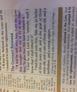 G.T. Luscombe Company, Inc. Accu-Gel Bible-Hi-Glider Bible Study Set | No Bleed Solid Gel Highlighter | No Smearing or Fading | Long Lasting Bright Translucent Colors (Set of 6) 1-Set Set of 6 43 71221yb5miL