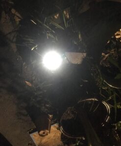 URPOWER Solar Lights Outdoor, Adjustable Solar Spot Lights Outdoor, 2-in-1 Waterproof Solar Landscape Spotlights Wall Light, Dusk-to-Dawn Solar Powered Outdoor Light for Garden, Yard, Pathway (2 Pack) 2 Pack Cool White 62 71240y2 YSL