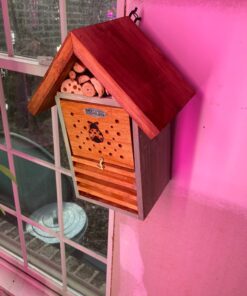 1500 Live Ladybugs - Good Bugs - Ladybugs - Guaranteed Live Delivery! 20 7125D0xFuBL