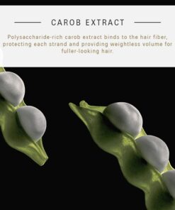 Rene Furterer VOLUMEA Volumizing Foam - For Fine, Limp Hair - Lightweight - Thickening & Long-Lasting Volume - 6.8 fl. oz. 9 7125sizSu3L