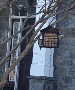 More Birds Double Suet Cage Bird Feeder with Metal Roof, Fruit and Suet Feeder, 2 Suet Cake Capacity Brown Double Cage 43 712BqKfcYwL